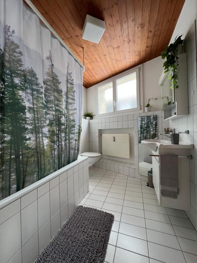 Ferienwohnung Dorfzentrum Disentis Dış mekan fotoğraf
